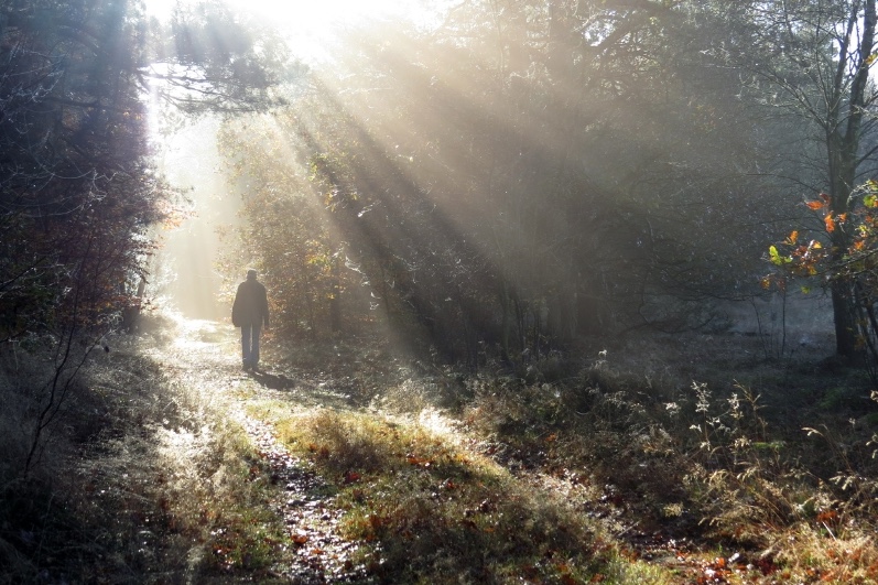 Retirement Income Planning Case Studies: How We Guide Clients Through Every Life Stage